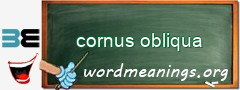 WordMeaning blackboard for cornus obliqua